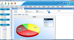 自定义报表以饼图直观显示